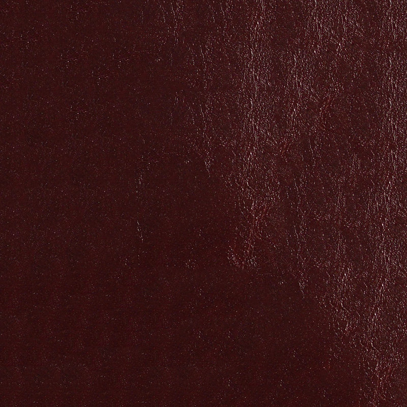 Tissu en similicuir glacé Abbeyshea par The Yard, Shiraz