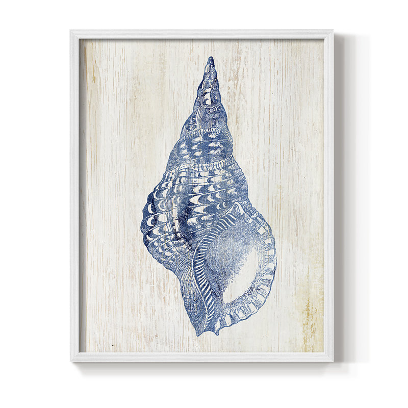 Impression encadrée Shell III - bois massif, H 30 po x l 24 po, Blanc