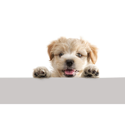 Puppy by 101Cats - Wrapped Canvas Print