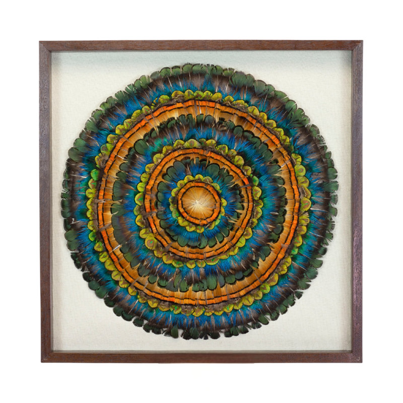 Mixed Pheasant Feather Framed Wall Art