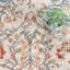 Southwestern Area Rug-899641372