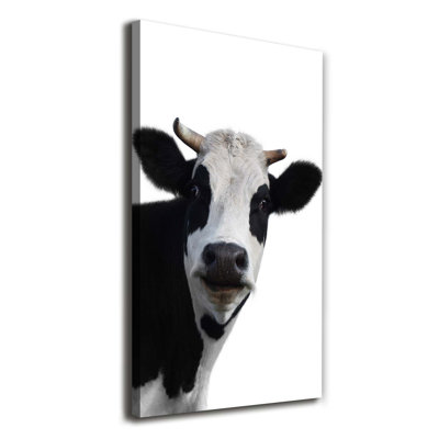 A Bred Cow - Wrapped Canvas Print