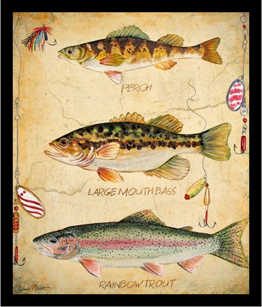 Buy Art for Less 'Fish Hooks, Perch, Large Mouth Bass and Rainbow Trout Poster' by Jean Plout Framed Graphic Art, Green