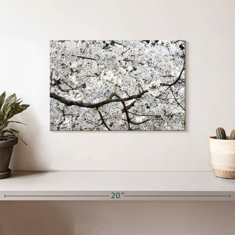Sakura Cherry Blossom, 8" H x 12" W