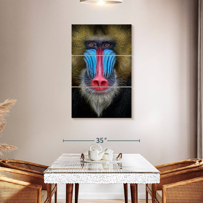 Brampt Mandrill Monkey