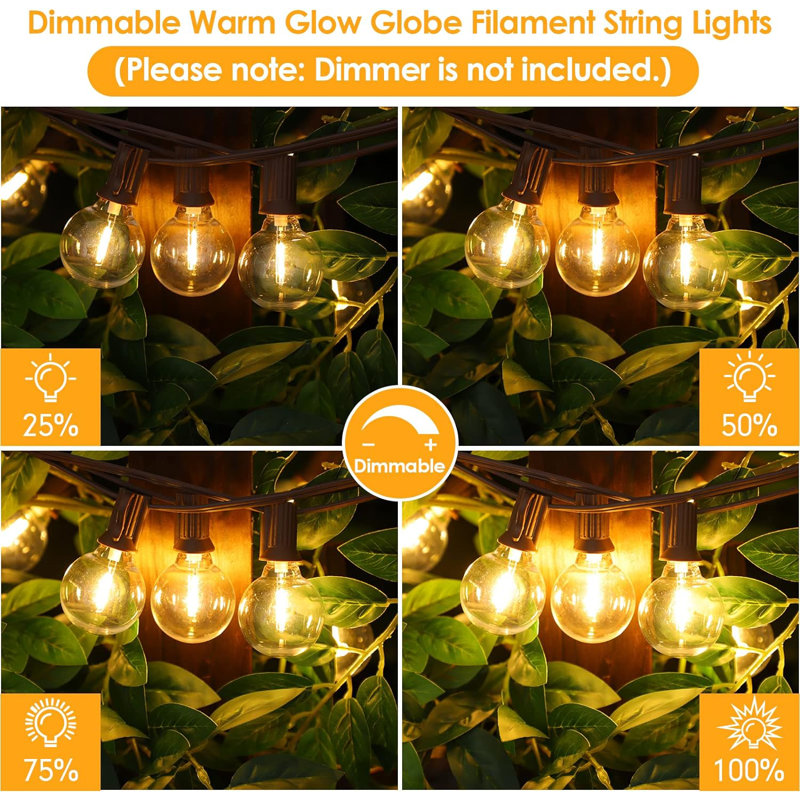 50ft Warm White LED Outdoor Globe String Lights with Brown Wire