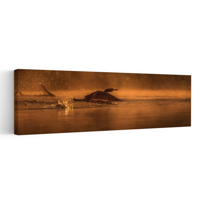Golden Hour Takeoff by Susan Breau - Wrapped Canvas Panoramic Print, 50.8 cm H x 152.4 cm W