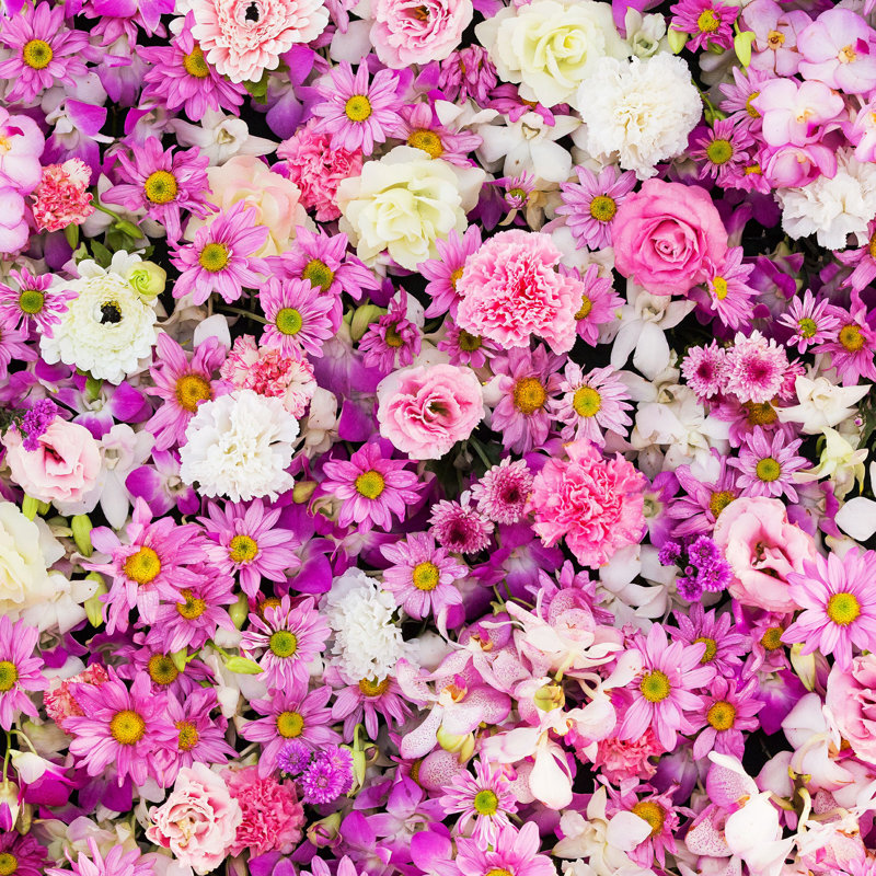 «Beautiful Flowers Context» par Subinpumsom - Photographie sur toile tendue, H 12 po x l 12 po