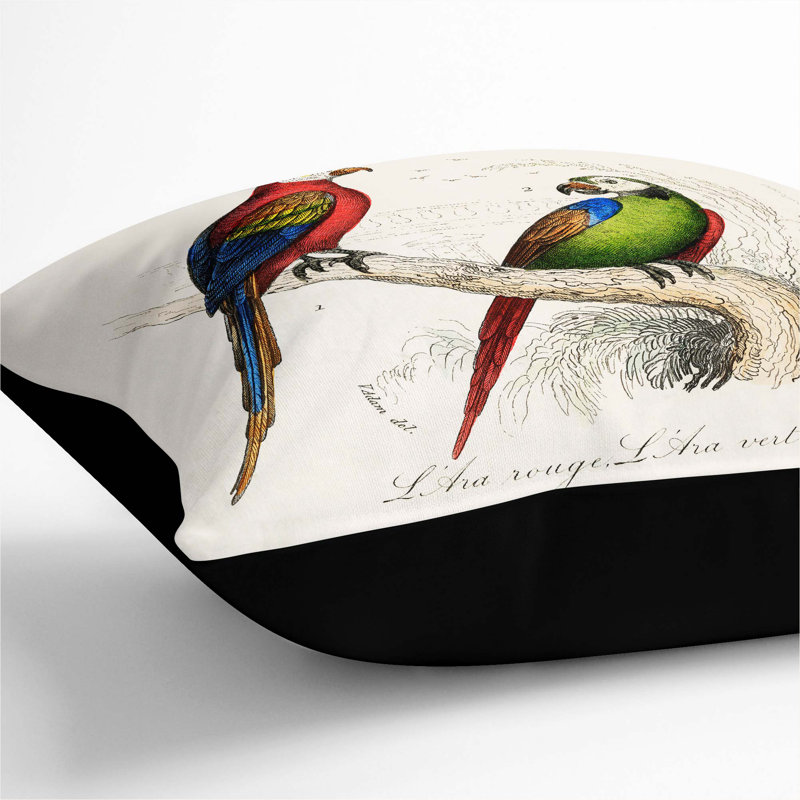 Macaw Cushion with Filling, Black, 55cm H x 55cm W x 20cm D