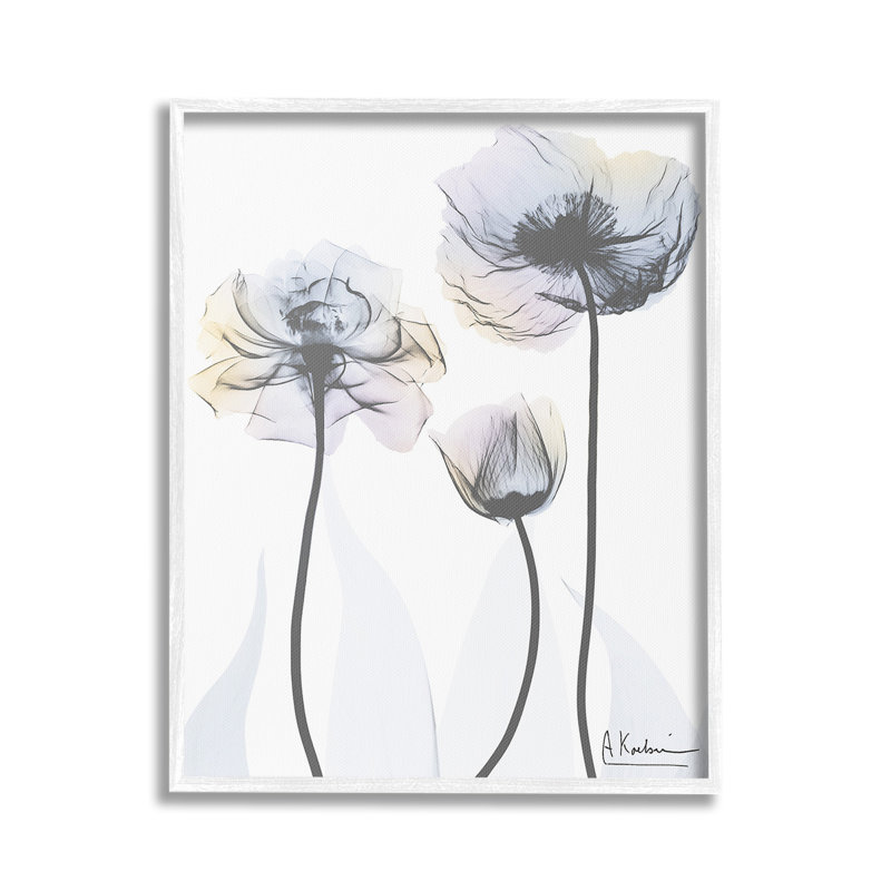 Coquelicot, Giclée encadrée blanc bord de mer, H 20 po x l 16 po