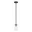Luminaire suspendu conique 1 lumière-1487194484