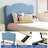 Modern Style Upholstered Twin/Full/Twin XL Daybed Frame for Kids, Twin Platform Bed with Adjustable Scallop Headboard-428272006