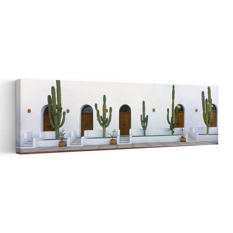 View Of Cardon Cactus Plants Outside A Building Todos Santos Baja California Sur Mexico by Leo L. Larson - Wrapped Canvas Panoramic Print