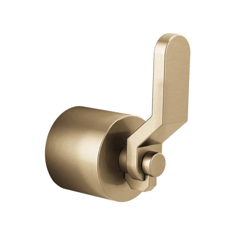 Litze® Wall Mounted Diverter Valve, Luxe Gold, Industrial Lever