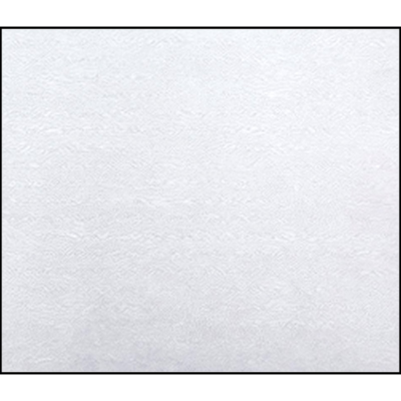 Ensemble de 2 chaises de salle à manger ARIYA GRIS / BLANC, Gris