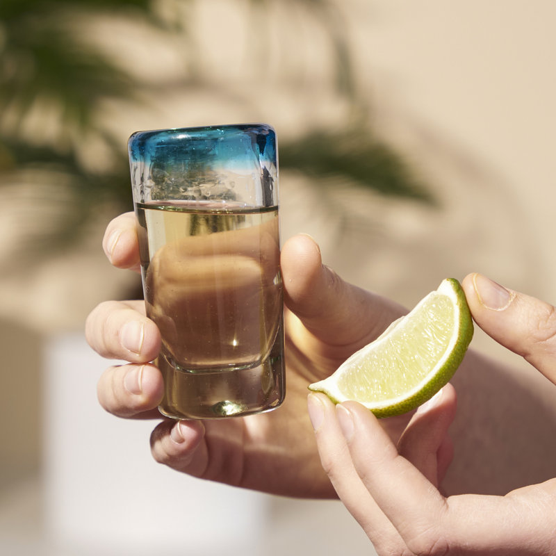 Ensemble de 4 verres à liqueur recyclés Primavera par Twine Living