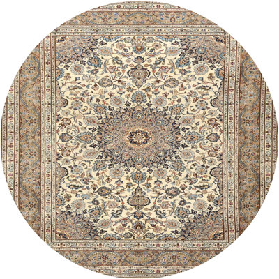 Oriental Indoor Rug