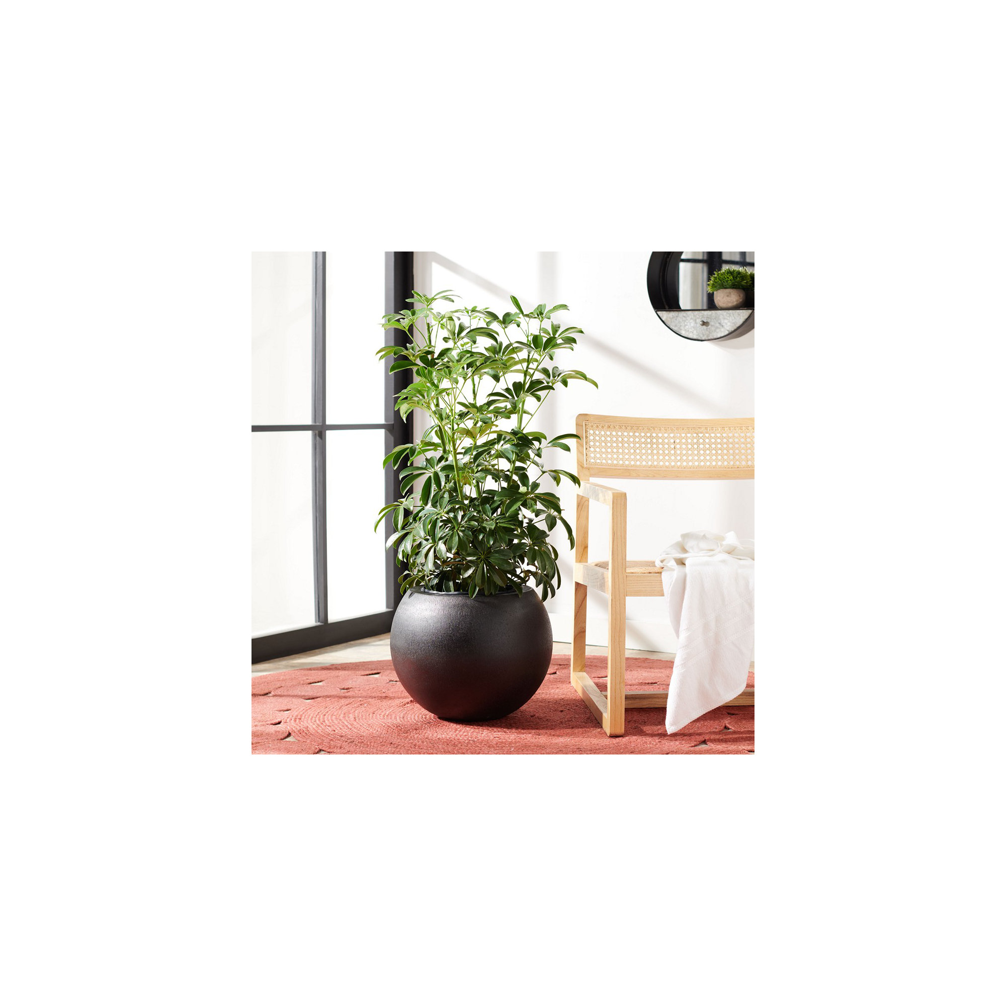 Mcgill Concrete Pot Planter, Black, 12.7" H x 15.7" W x 15.7" D