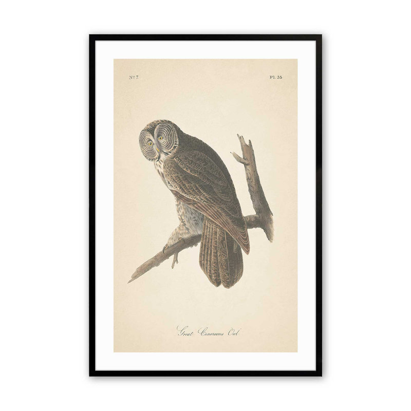 Impression d'un hibou perché dans un, H 25 po x l 19 po x P 1,25 po, Cadre noir satiné