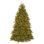 Dunhill Fir Tree with Clear Lights