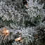 The Holiday Aisle® Snowy North Valley Spruce Tree with Clear Lights-1669313156