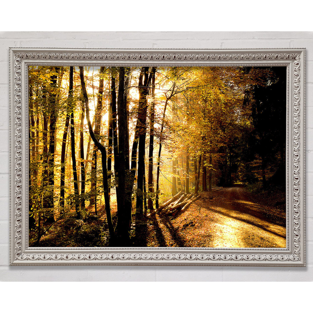 Beautiful Forest Road Autumn - Einzelne Bilderrahmen Kunstdrucke