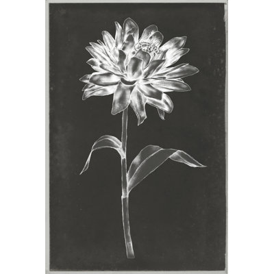 Single Stem III by Jennifer Goldberger - Wrapped Canvas Print