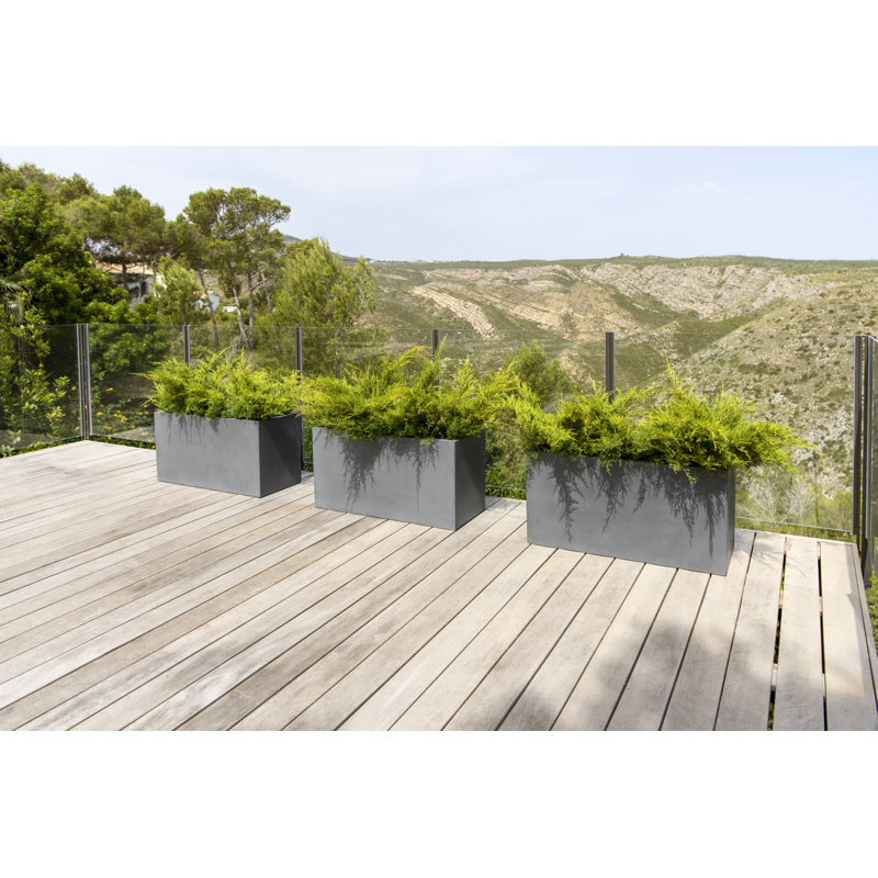 Jort M, Grey