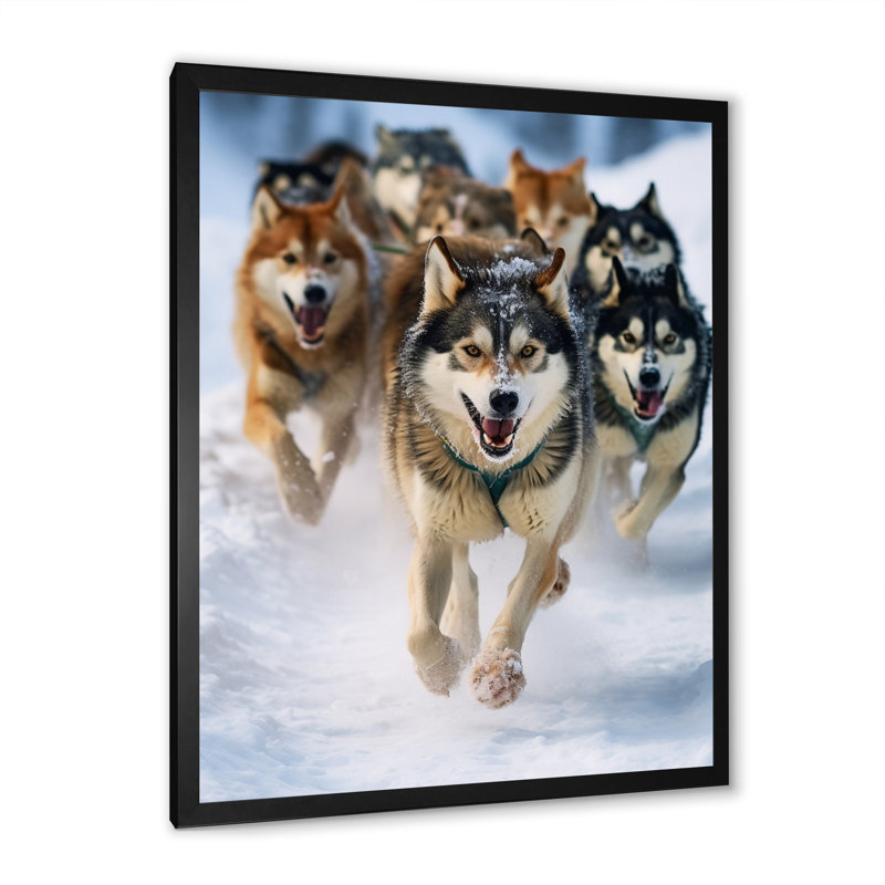 «Alaska Dog Sledding III», reproduction sur toile, H 20 po x l 12 po x P 1 po, Cadre photo noir