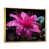 Gold Floater Framed