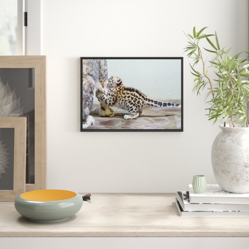 Gerahmtes Wandbild kleiner Leopard beim Spielen