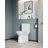 1.1/1.6 GPF Elongated Comfort Height Floor Mounted One-Piece Toilet, CUPC Certified, Watersense Cetified, Ceramic, White Color, Soft Close Seat