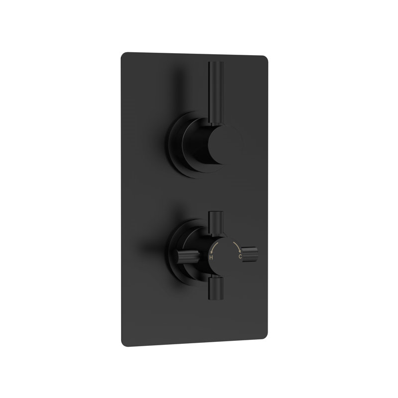 Tec Pura Twin Thermostatic Shower Valve, Matt Black