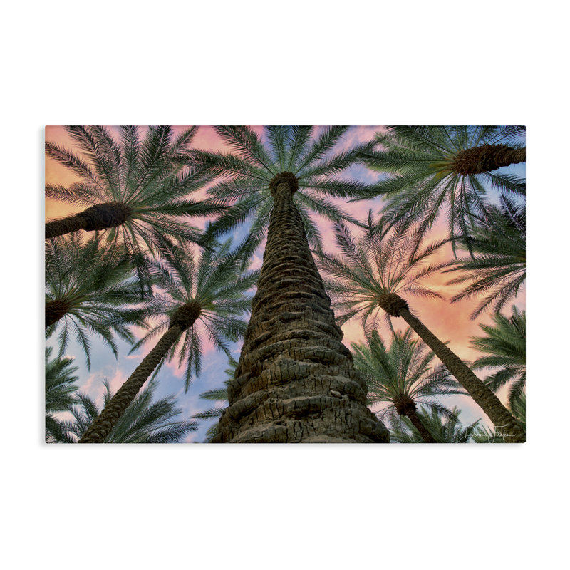 «Tall Overhead Palms», art mural sur toile par Dennis Frates, H 16 po x l 24 po