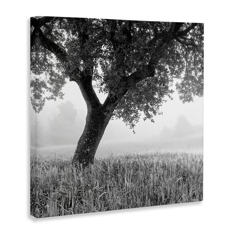 Toile toscane matin par Chip Forelli, H 36 po x l 36 po