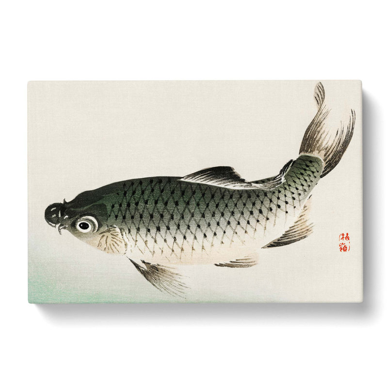 Carp Fish by Kono Bairei - Wrapped Canvas Painting, 50cm H x 76cm W x 3cm D