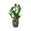 Pot Planter-69444307-69444308
