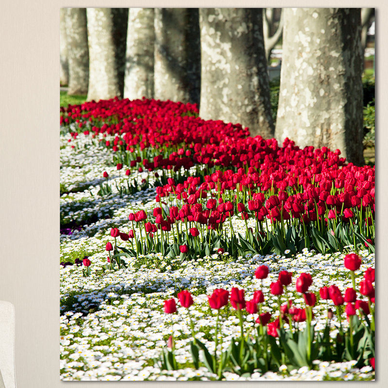 «Wild Tulip Flowers in Forest Pasture», reproduction de photo sur toile tendue, H 40 po x l 30 po x P 1 po