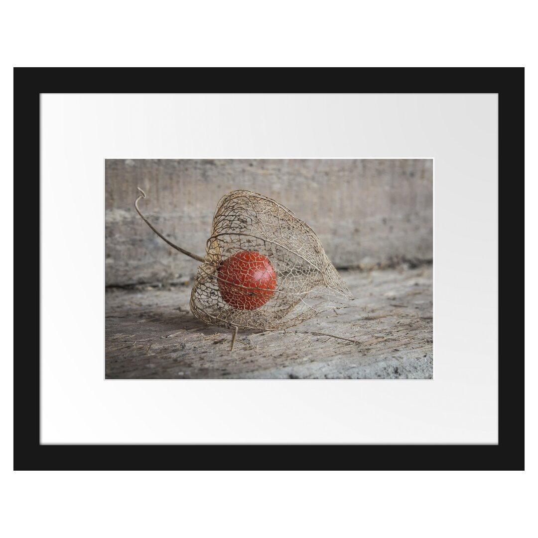 Gerahmtes Poster Physalis