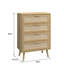 Anelise 60 cm W Chest of 4 Drawers