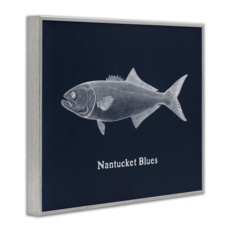 Giclée encadrée Nantucket Blues Fish, design par Phillipa Katz, Gris, H 16 po x l 20 po
