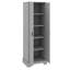 Armoire de rangement polyvalente 2 portes-1539473327