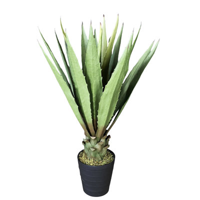 Fausse agave botanique au fini vert