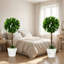 60 cm H Faux Tree Plant in Cement Freestanding  Planter-1700856978
