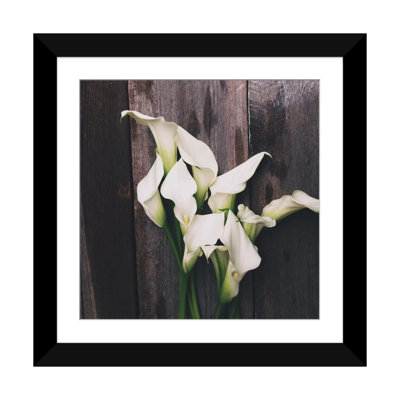 Olivia Joy " Calla Lilies "