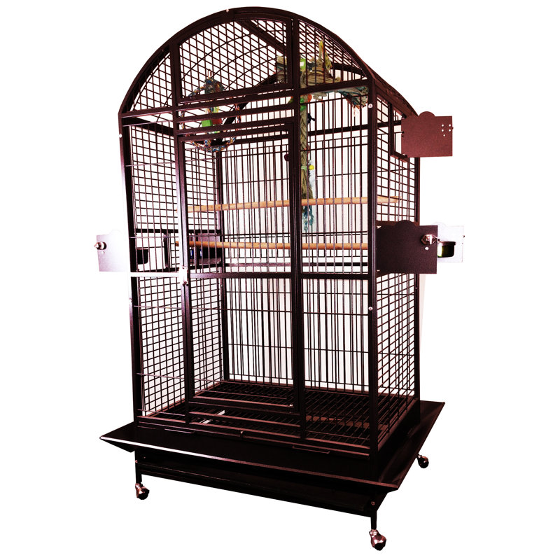 Cage XX XX, Bourgogne