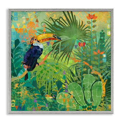 " Toucan Rainforest Nature "