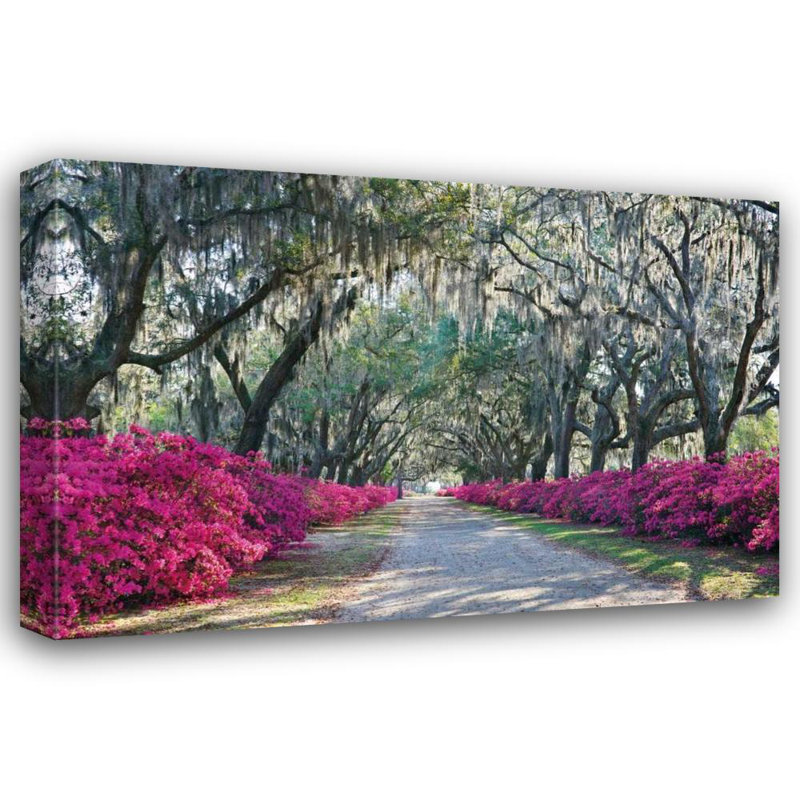 Art sur toile tendu avec Alcott Hill® Hiers, Winthrope, Azaleas Bonaventure, H 33 po x l 48 po