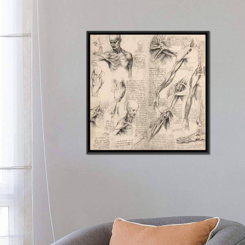 Carnet de croquis, études du corps humain par Leonardo Da Vinci - Art textuel sur toile, H 37 po x l 37 po x P 1,5 po