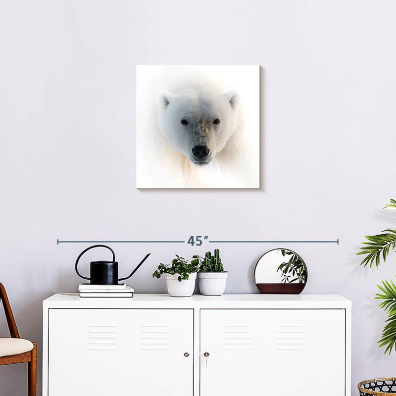Portrait d'un ours polaire, H 20 po x l 20 po